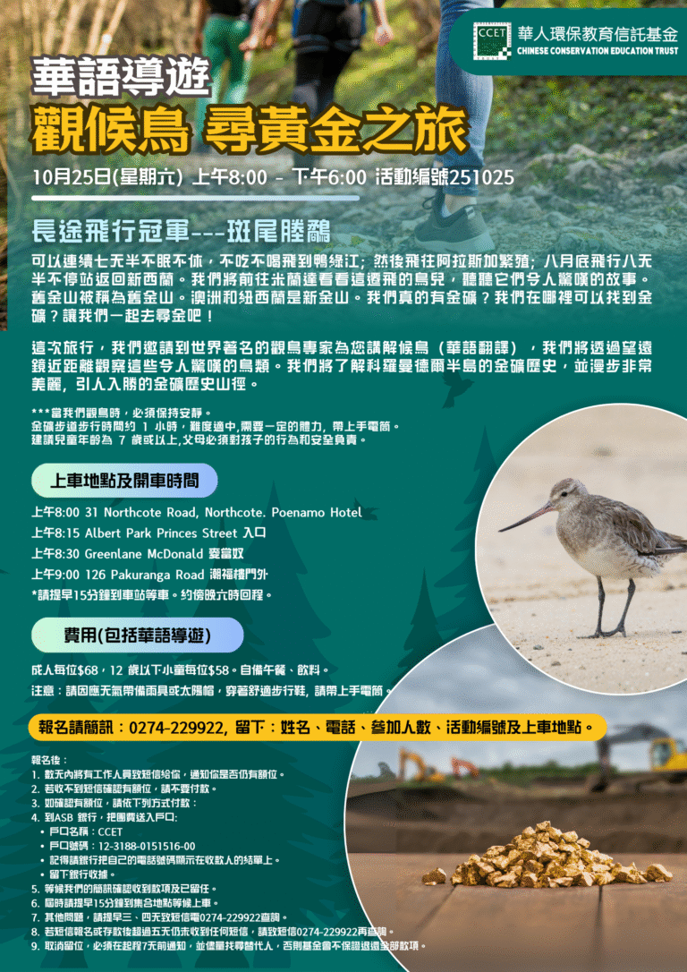 Welcome the migrant birds & searching for GOLD (Mandarin) tour